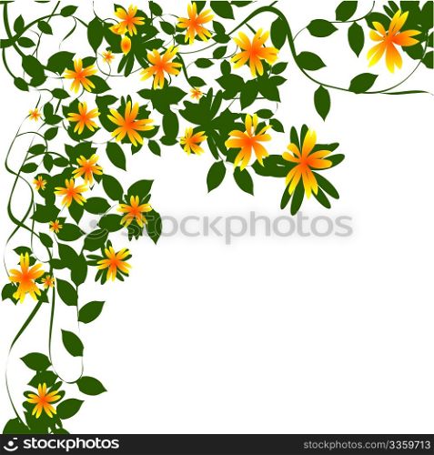 Decorative floral design over white background