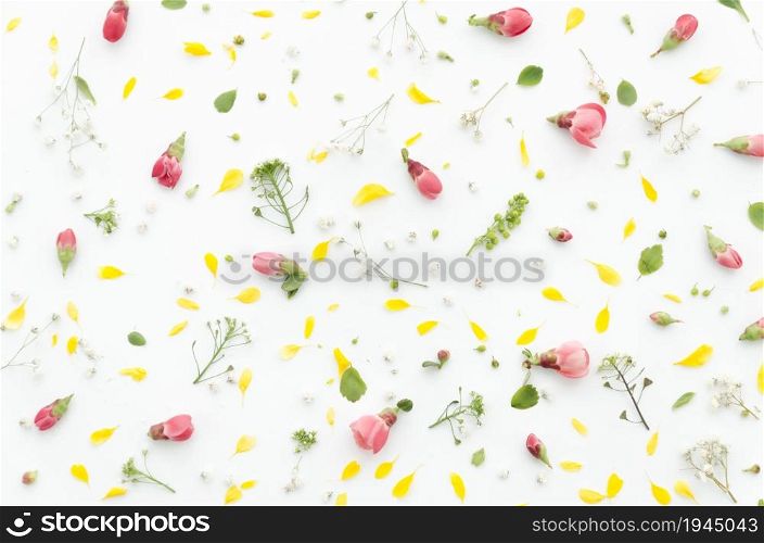 decorative floral pattern. High resolution photo. decorative floral pattern. High quality photo