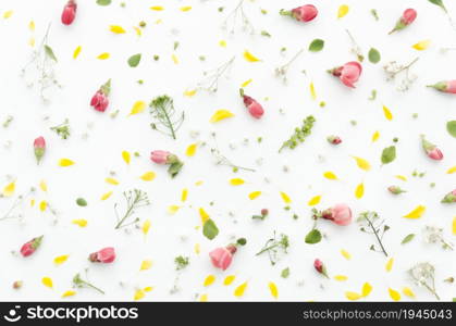 decorative floral pattern. High resolution photo. decorative floral pattern. High quality photo