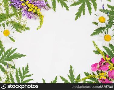 Decorative frame with fresh branches, green leaves, herbs, chamomile, vetch and other multicolored wildflowers on white background; top view, flat lay, overhead view