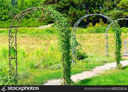 decorative metal arch for climbing plants in city park