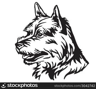 Decorative portrait in profile of Dog Norwich Terrier, vector isolated illustration in black color on white background. Image for design and tattoo. . Decorative portrait of Dog Norwich Terrier vector illustration
