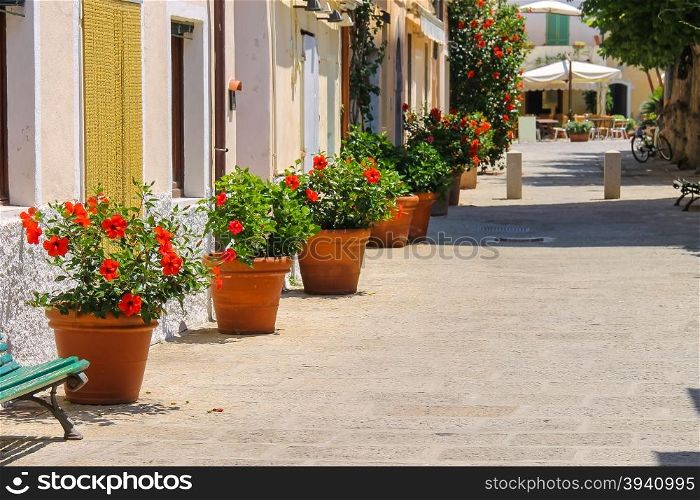 Decorative pots with red hibiscus flowers on the street of Italian town on Elba Island