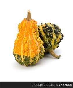 Decorative pumpkin isolated on white background. Halloween and harvest symbol.
