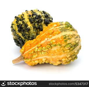 Decorative pumpkin isolated on white background. Halloween and harvest symbol.