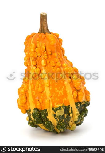 Decorative pumpkin isolated on white background. Halloween and harvest symbol.