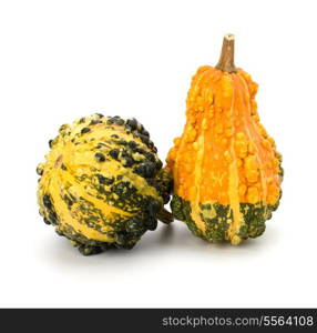 Decorative pumpkin isolated on white background. Halloween and harvest symbol.