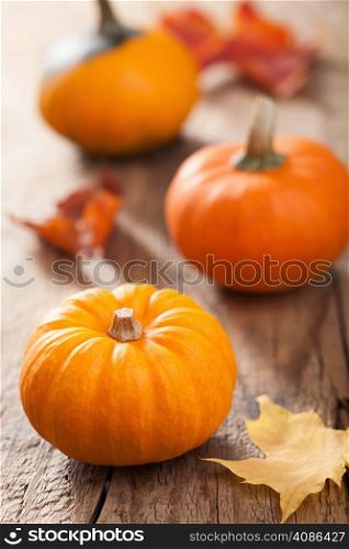 decorative pumpkins and autumn leaves for halloween