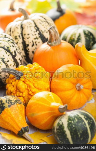 decorative pumpkins and autumn leaves for halloween