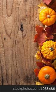 decorative pumpkins and autumn leaves halloween background