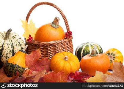 decorative pumpkins and autumn leaves isolated
