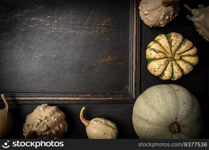 Decorative pumpkins on dark wooden background. Variety of edible and decorative gourds and pumpkins. Top view, copy space. Decorative pumpkins on dark