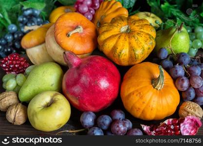 Decorative pumpkins, squash, apples, pears, pomegranates and grapes on the dark wooden background