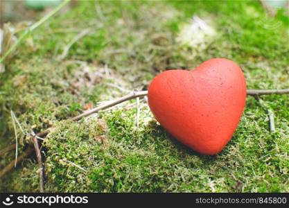 Decorative red heart lying on the moss in the forest. Love concept. Red heart on moss. in the forest. Love concept