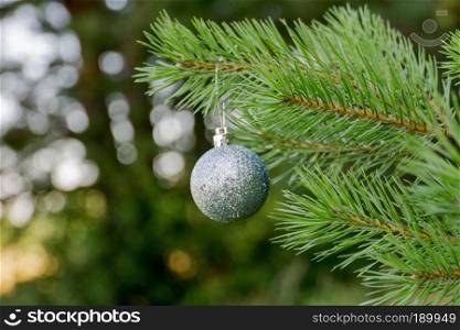 Decorative silver Christmas ball on a fir tree branch background.
