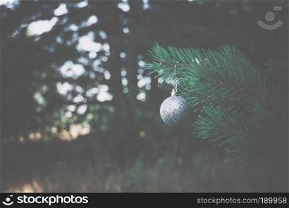 Decorative silver Christmas ball on a fir tree branch filtered background.