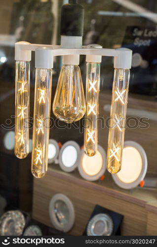 Decorative style filament light bulbs in view