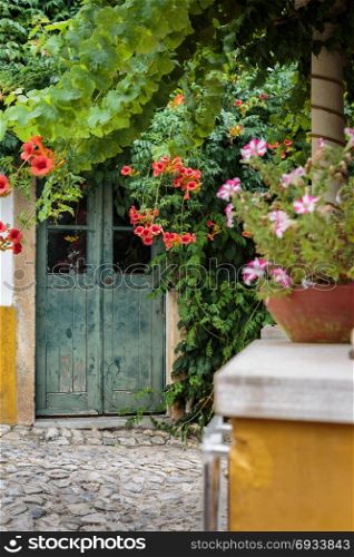 Decorative White and Pink Flowerpot and Antique Door in background