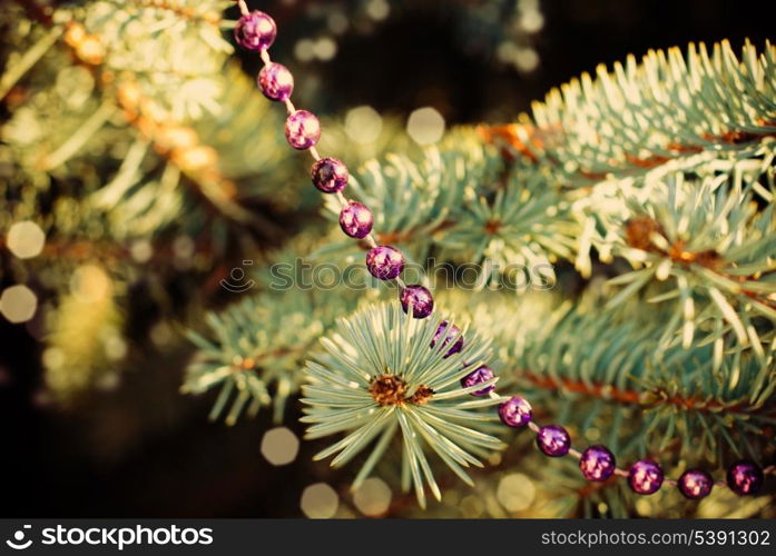 Decored fir-tree branch for the New Year Party.