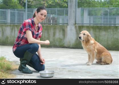 dedicated girl training dog in kennel