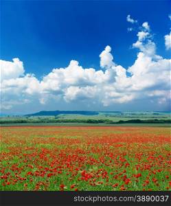 Deep blue sky and poppy meadow. Landscape design.&#xA;