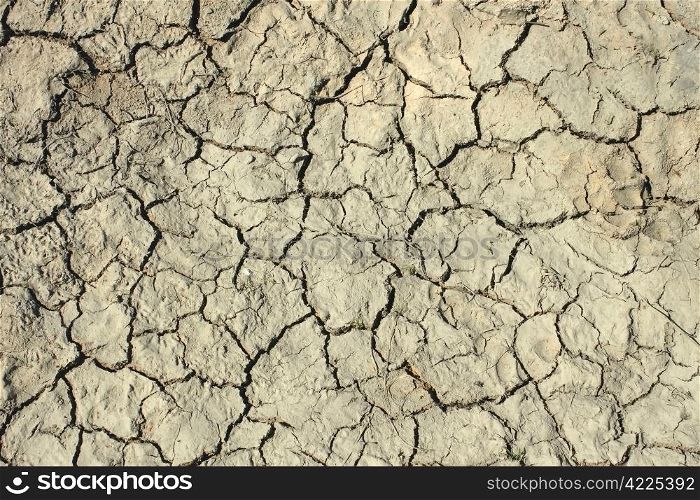 Deep cracks in the dried soil as a texture