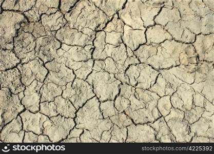 Deep cracks in the dried soil as a texture