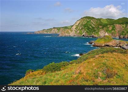 Deep green lush cliffs with vivid blue sea and bright sunny sky