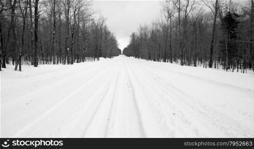 Deep winter in the northern USA on a county road