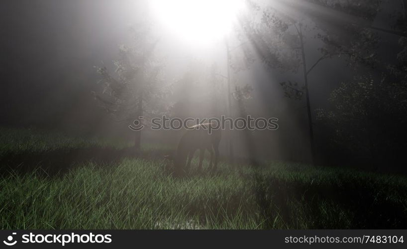 deer female in forest in fog at night. Deer Female in Forest in Fog