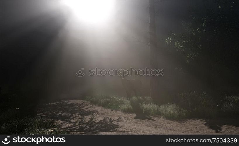 deer female in forest in fog at night. Deer Female in Forest in Fog
