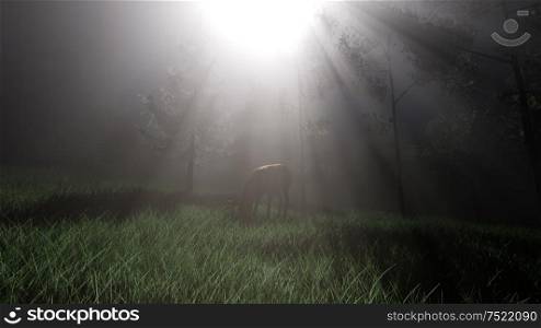 deer female in forest in fog at night. Deer Female in Forest in Fog