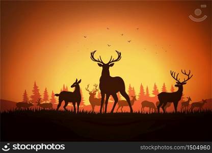 Deer in the fields at sunset
