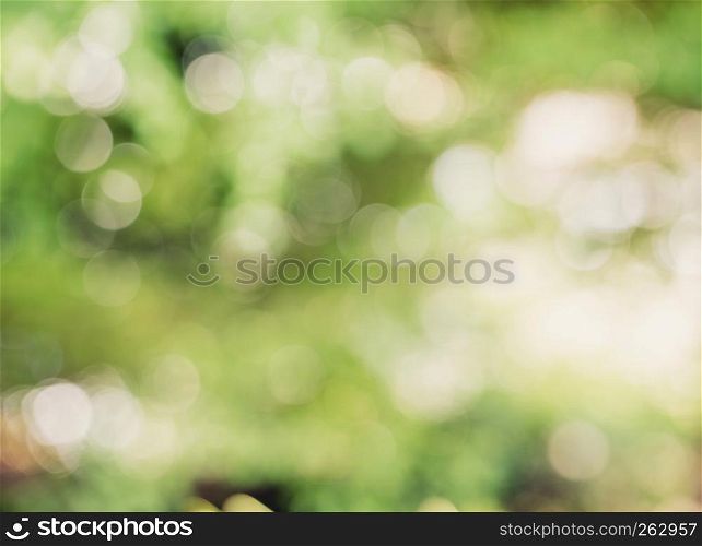 Defocus nature green bokeh background with environment concept.