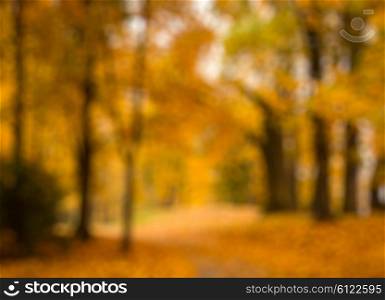 Defocused blurred autum background - valley in fall with yellow tree leaves. Defocused blurred autum background