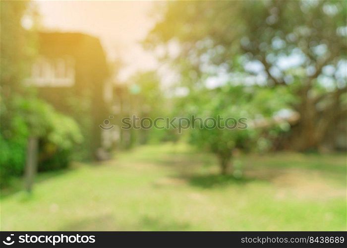defocused bokeh and blur background of garden trees in sunlight.