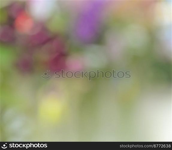 Defocused colorful flowers for abstract background