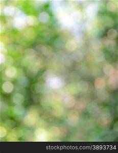 Defocused green nature lights abstract background