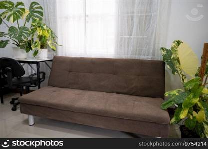 Defocused home interior design, Home decor with fabric sofa brown color and green houseplants, Green plants in pot nearing sofa in living room at home