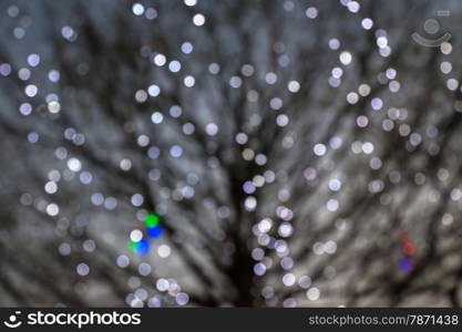 Defocused night lights with deciduous tree on background, holiday and seasonal background