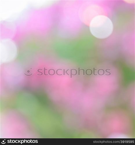 Defocused pink flowers for abstract background