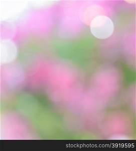 Defocused pink flowers for abstract background