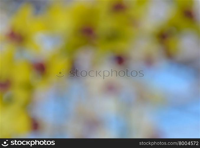 Defocused yellow flowers for abstract background