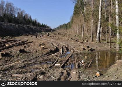 Deforested area in a forest with cutted trees and dirt road, Russia