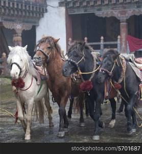 Deities Horses, Trongsa District, Trongsa Dzong