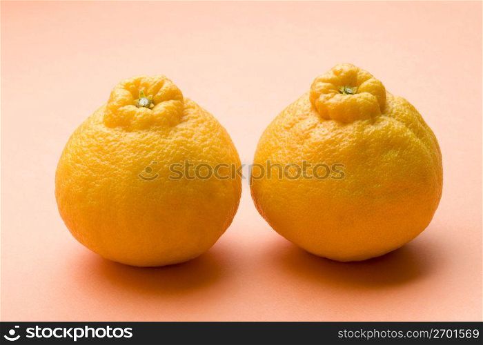 Dekopon Orange
