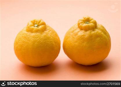Dekopon Orange