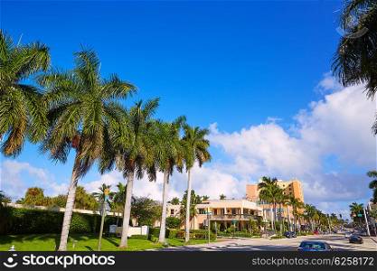 Del Ray Delray beach in Florida USA Palm trees street