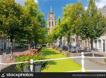 Delft. The picturesque city canal.. The Dutch city Delft with the channel in the green duckweed. Netherlands.