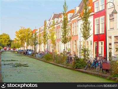 Delft. The picturesque city canal.. The Dutch city Delft with the channel in the green duckweed. Netherlands.